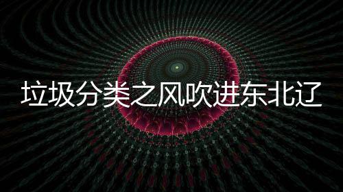沈阳四分东北圾桶垃圾辽宁类垃启用之风吹进分类